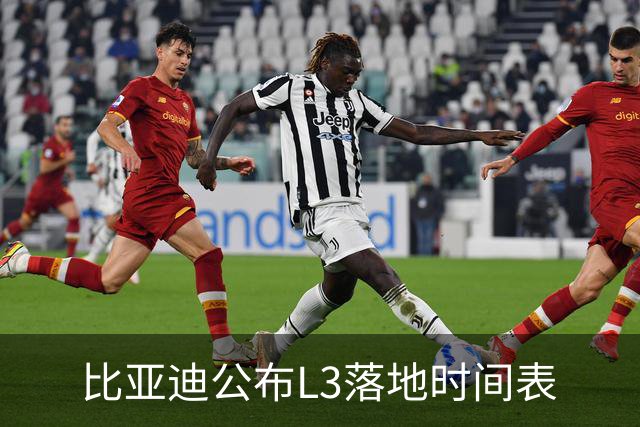 比亚迪公布L3落地时间表